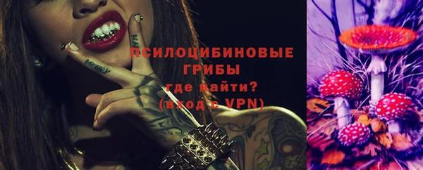 прущий лед Арсеньев
